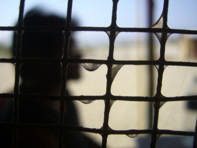 Photography by vipez for DesignCrowd (Community Contests) | Design #9002881