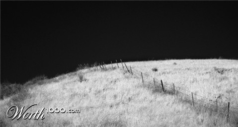 Photography by taranoella