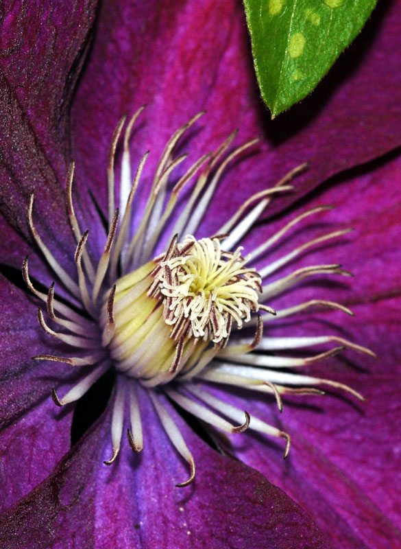 Photography by jezbod for DesignCrowd (Community Contests) | Design #9003962