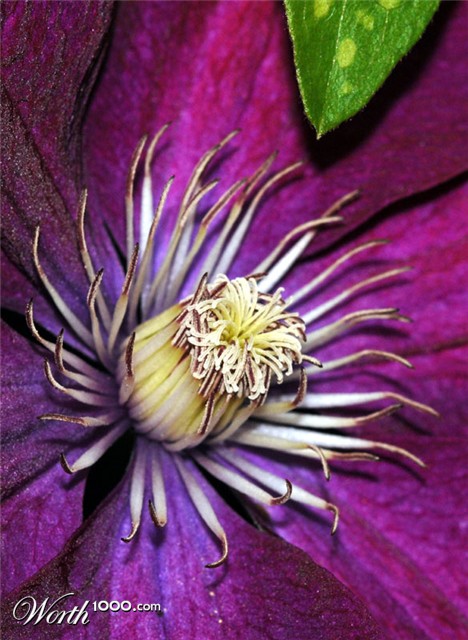 Photography by jezbod