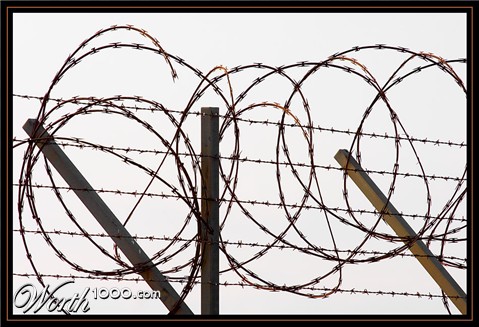 Photography by SigloV