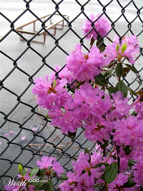 Photography by AvedaRose