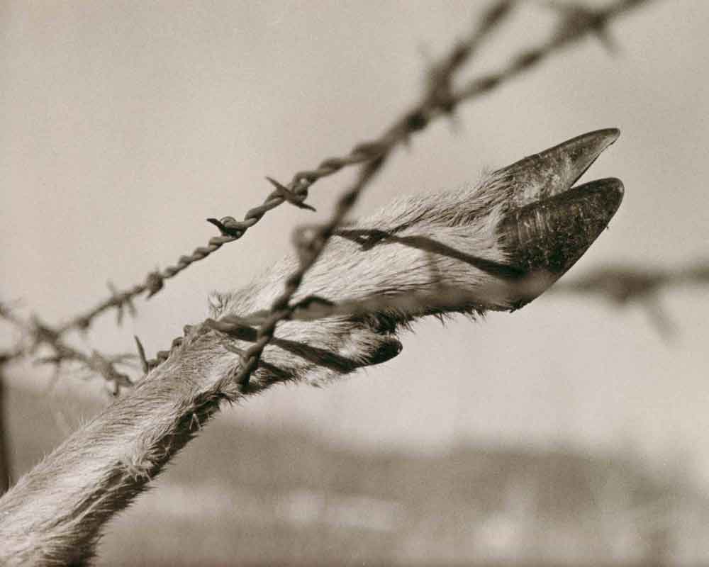 Photography by tyry222 for DesignCrowd (Community Contests) | Design #9002954