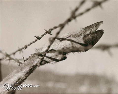 Photography by tyry222