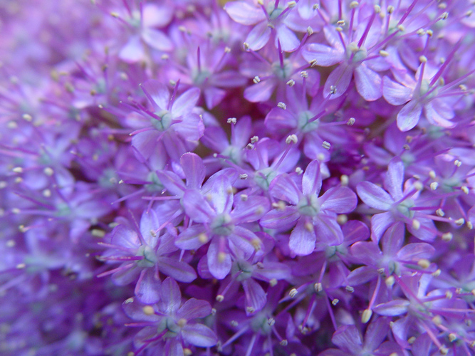 Photography by ljvgtj for DesignCrowd (Community Contests) | Design #9004027