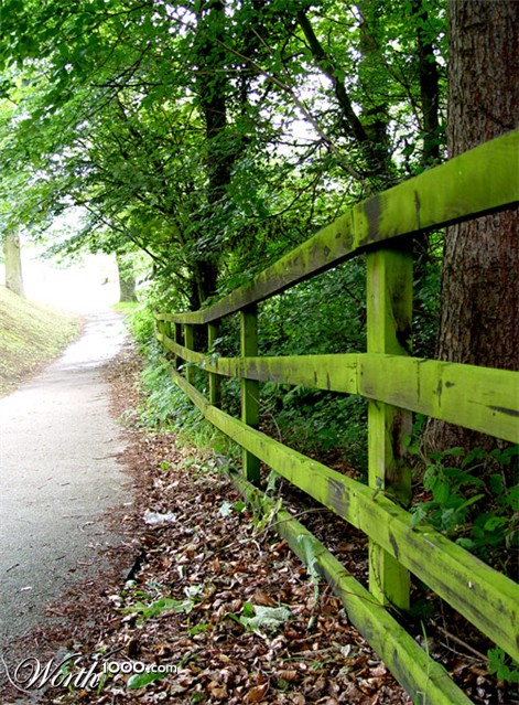 Photography by ljvgtj