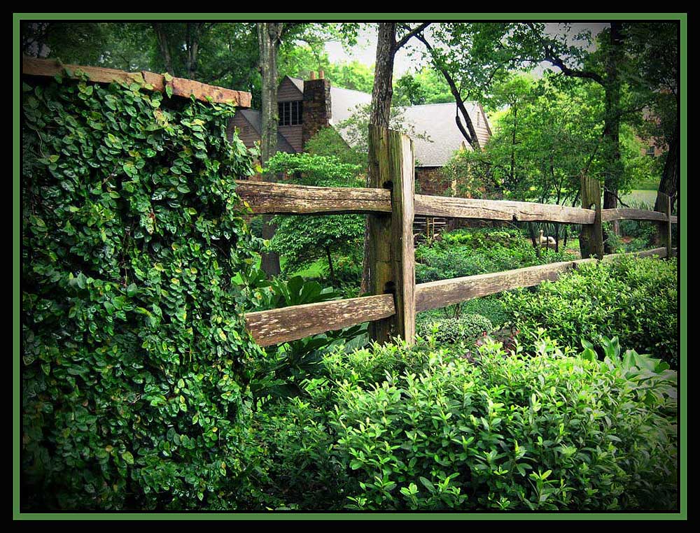 Photography by cridley for DesignCrowd (Community Contests) | Design #9002937