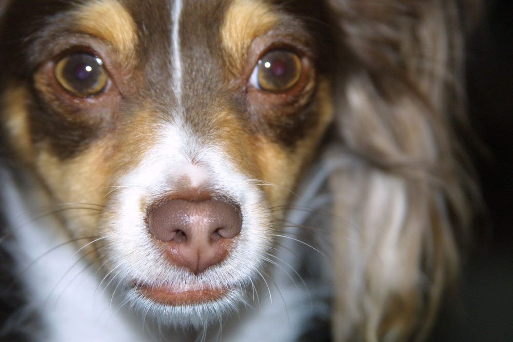 Photography by mhcork for DesignCrowd (Community Contests) | Design #9004040