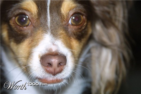 Photography by mhcork