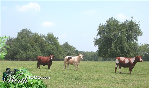 Photoshop Design by JClark8220