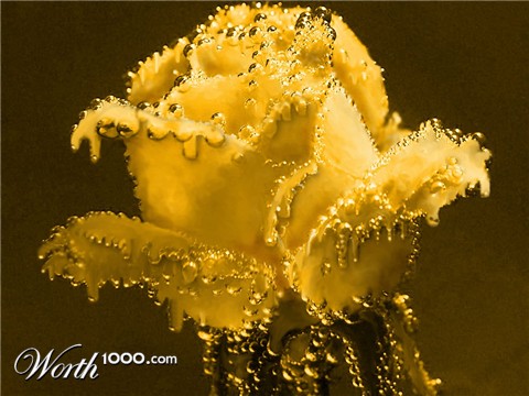 Photoshop Design by JClark8220