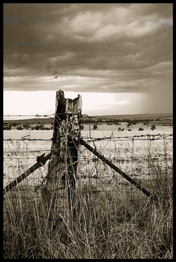 Photography by Budmulla for DesignCrowd (Community Contests) | Design #9002920