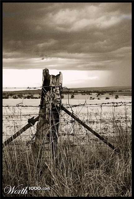 Photography by Budmulla