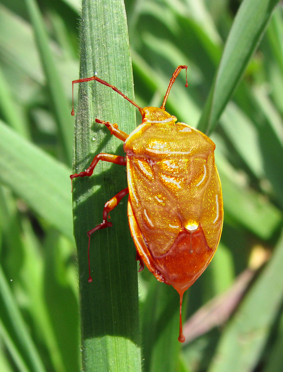 Photoshop Design by Qofcheez for DesignCrowd (Community Contests) | Design #9005573