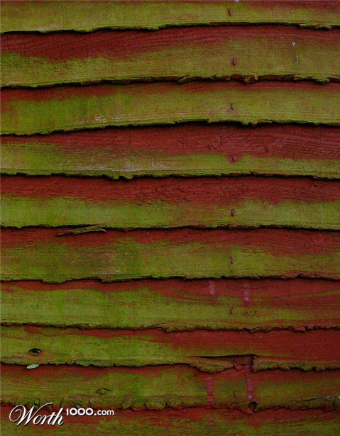 Photography by chilledcoder