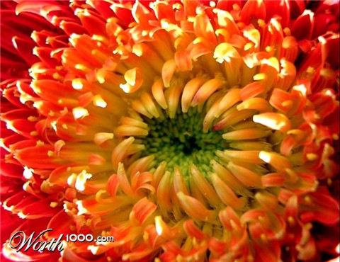 Photography by creonn