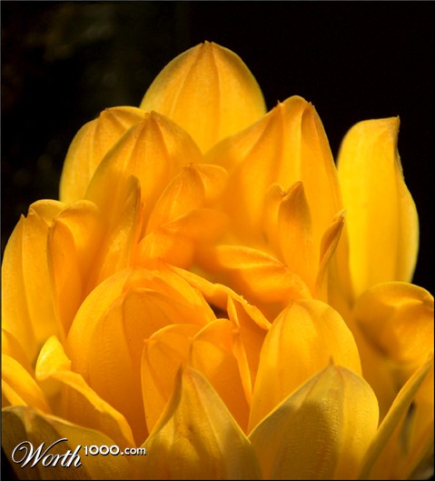 Photography by kimbomac