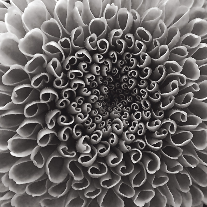 Fotografía por IsleofJura para DesignCrowd (Community Contests) | Diseño #9004018