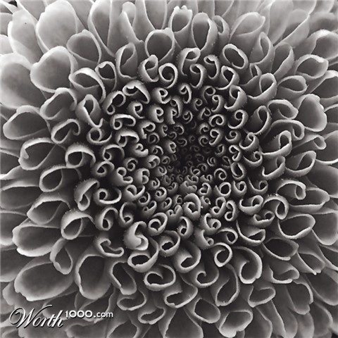 Photography by IsleofJura