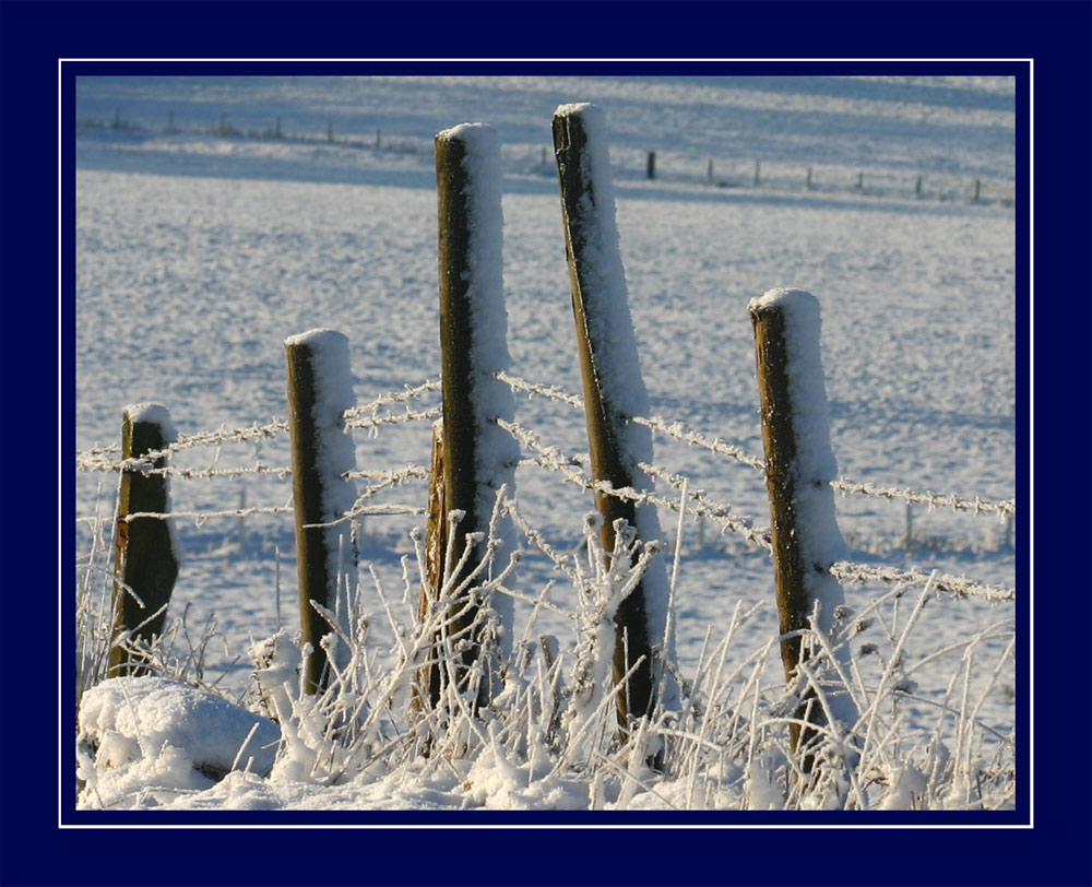Photography by DurhamTyke for DesignCrowd (Community Contests) | Design #9003007