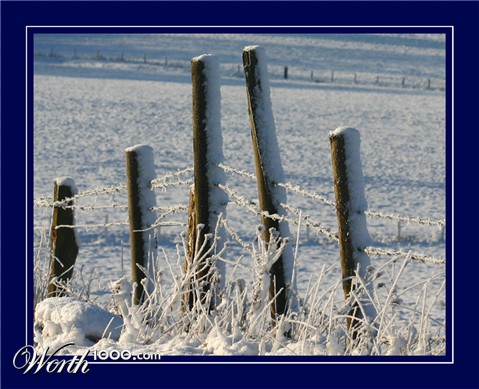 Photography by DurhamTyke