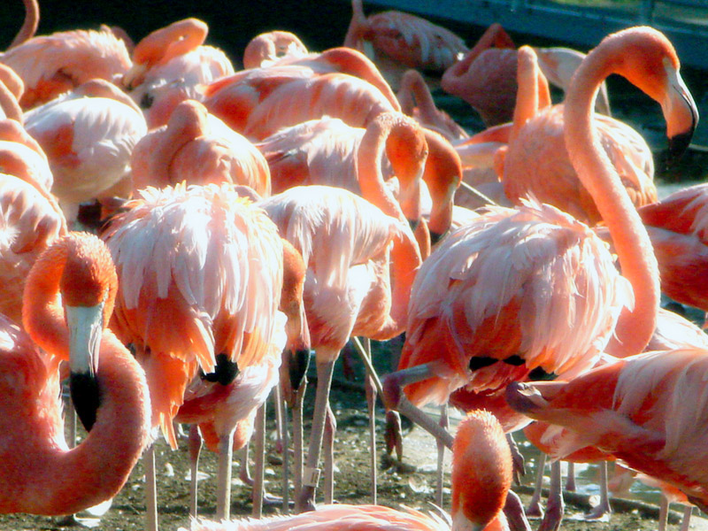 Photography by arturojm for DesignCrowd (Community Contests) | Design #9004093