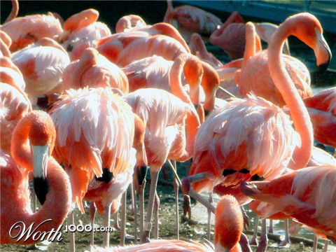 Photography by arturojm