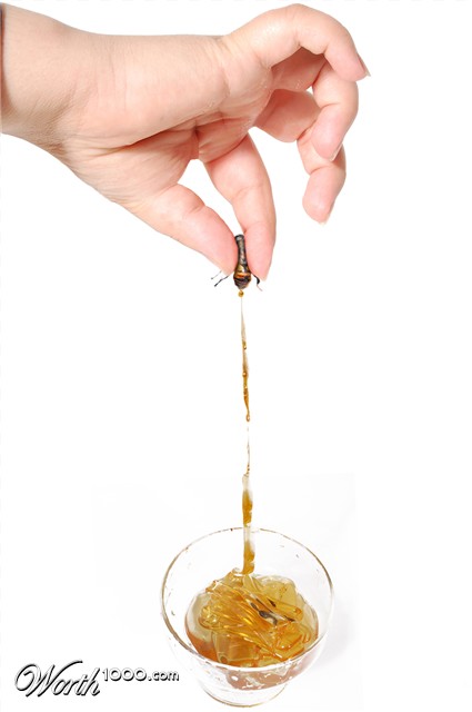 Photoshop design by MataleoneRJ for DesignCrowd (Community Contests)