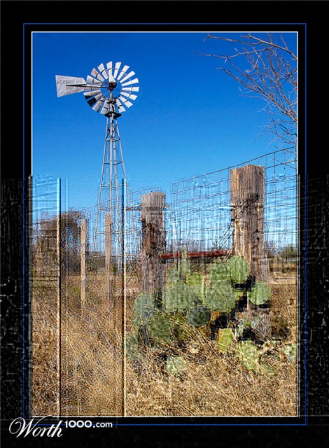 Photography by Fishcat