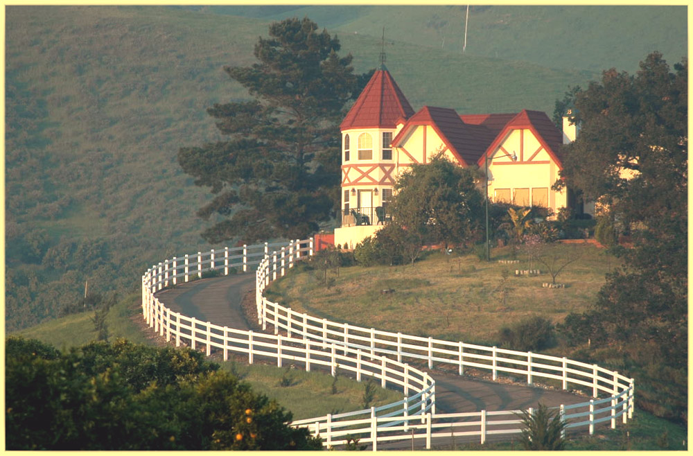 Photography by Larvice for DesignCrowd (Community Contests) | Design #9003030