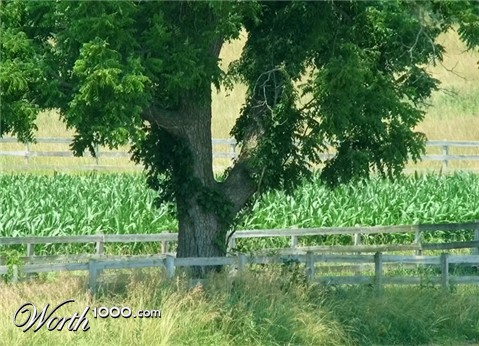 Photography by timpeeler37