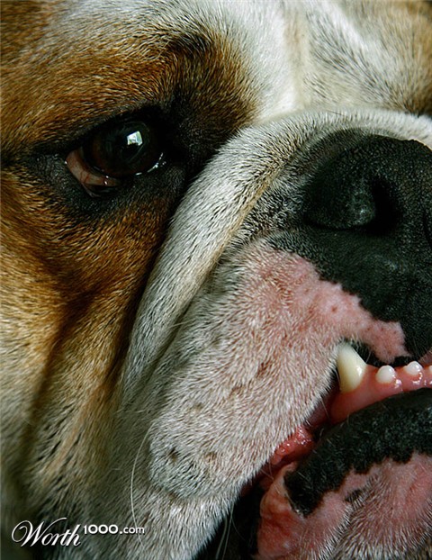 Photography by willhunt