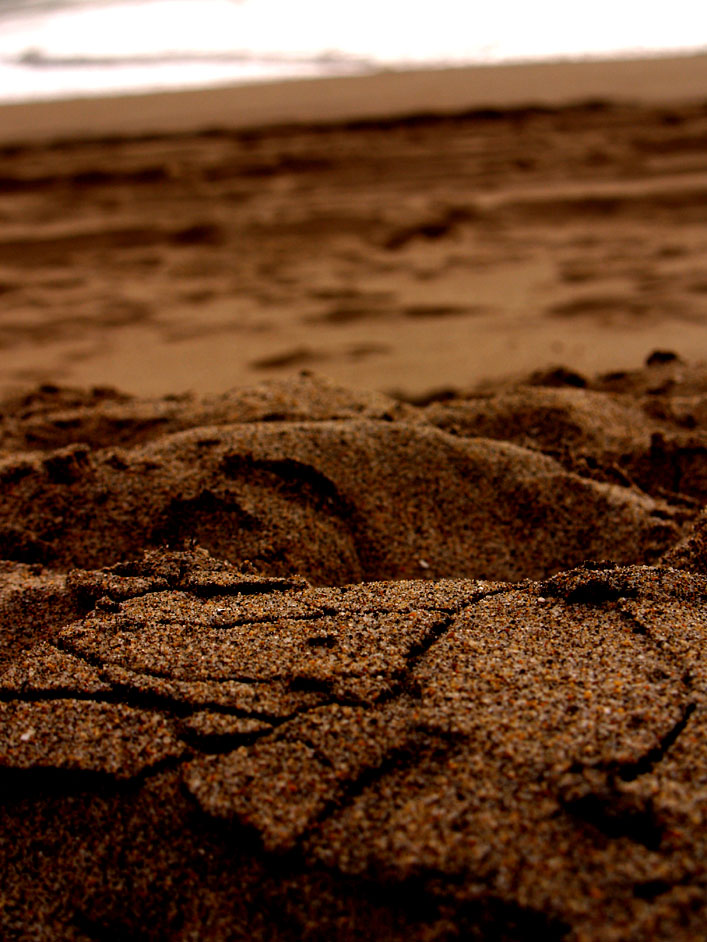 Photographie par sm1t42 pour DesignCrowd (Community Contests) | Design #9004126