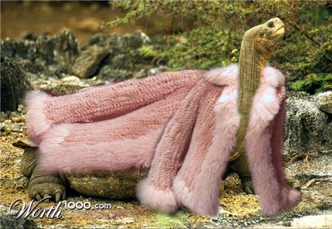 Photoshop Design by skipperw