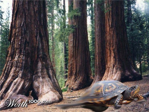 Photoshop Design by Phillip12