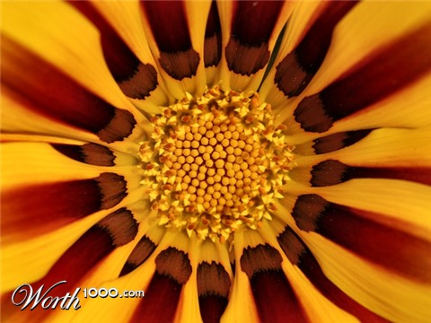 Photography by KarenC