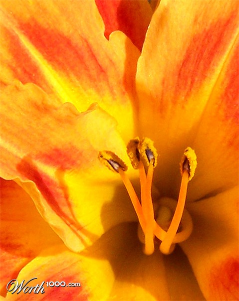 Photography by pixel8r