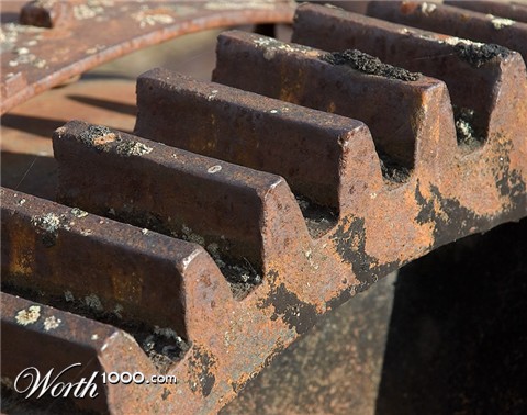 Photography by georgethedog