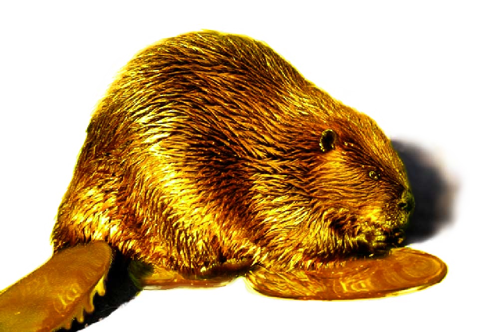 Photoshop-Design von cleareyes für DesignCrowd (Community Contests) | Design #9005604