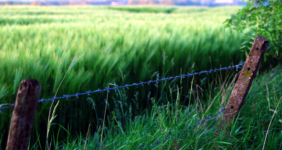 Photography by BeanEater for DesignCrowd (Community Contests) | Design #9002964