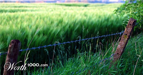 Photography by BeanEater