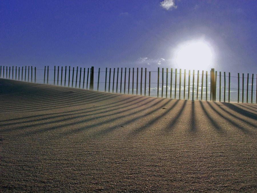 Photography by ThisisntGraham for DesignCrowd (Community Contests) | Design #9003033