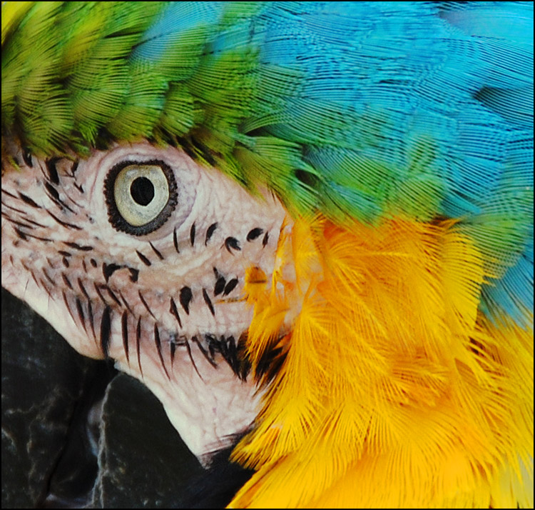 Photography by squaredd for DesignCrowd (Community Contests) | Design #9004129