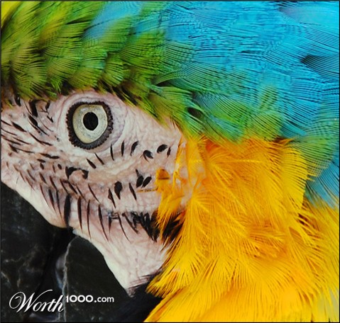Photography by squaredd