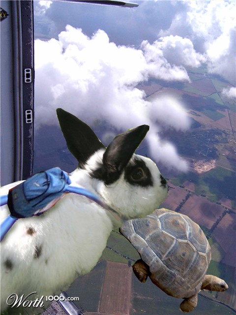 Photoshop Design by philgtaylor