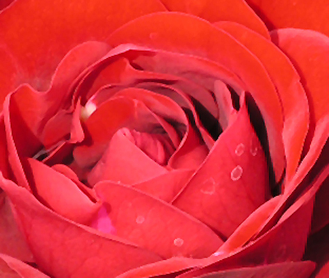 Photography by caneide1980 for DesignCrowd (Community Contests) | Design #9004149