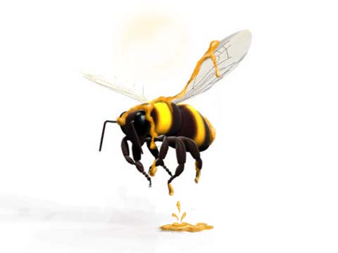 Photoshop-Design von lasvegaspapillon für DesignCrowd (Community Contests) | Design #9005641