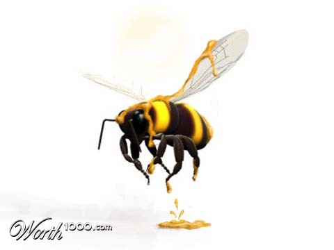 Photoshop Design by lasvegaspapillon