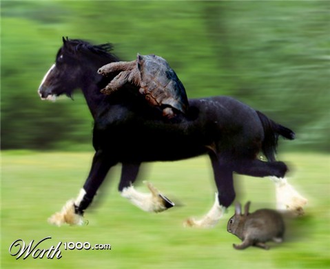 Photoshop Design by zicooo