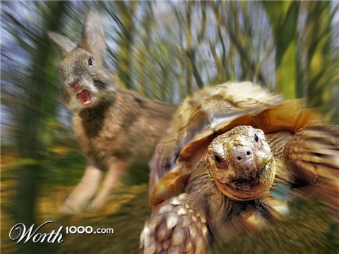 Photoshop Design by Visionbox